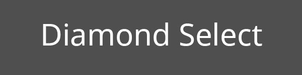 Diamond Select Level