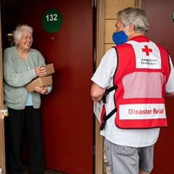 Man with red cross at woman's door
