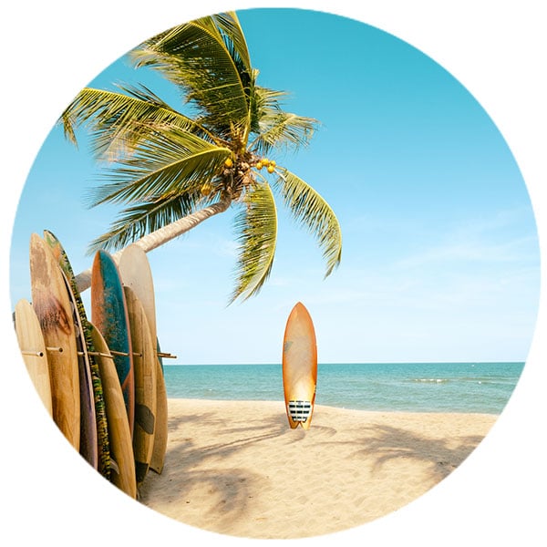 Surf boards on a beautiful beach