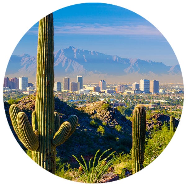 Phoenix Skyline with Cacti