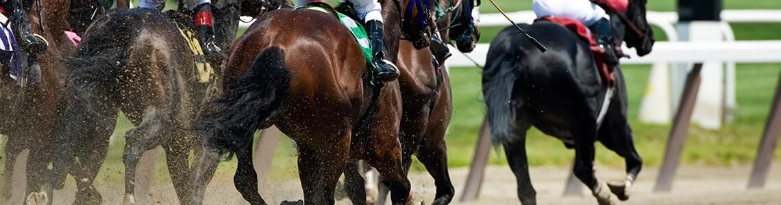Horse Racing in New York