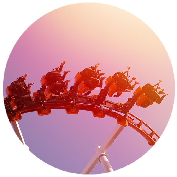 Rollercoaster at Theme Park