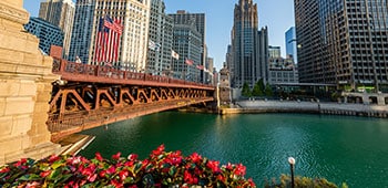 The Chicago River