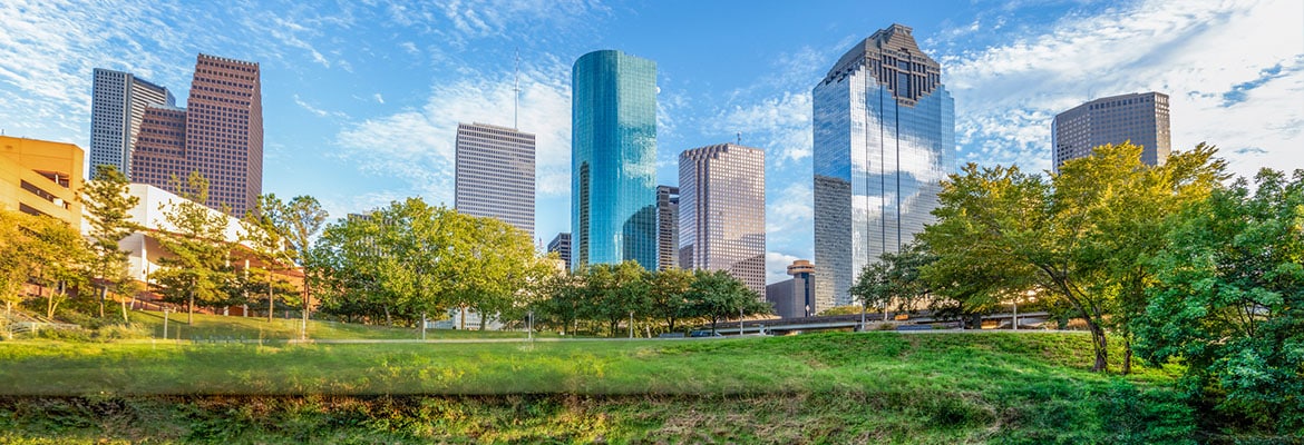 Desert Cacti at Sunset in Phoenix, AZ