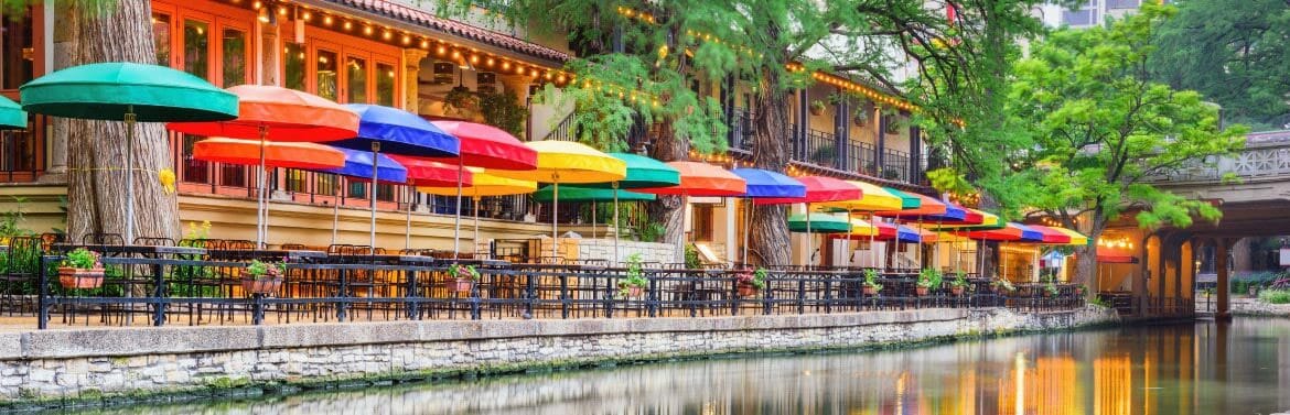 Desert Cacti at Sunset in Phoenix, AZ