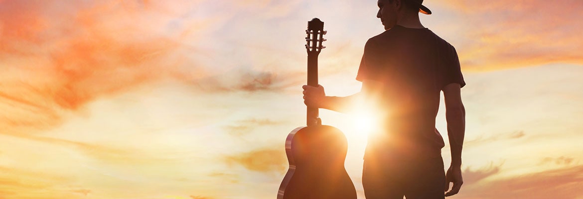 Desert Cacti at Sunset in Phoenix, AZ