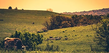 Oklahoma landscape