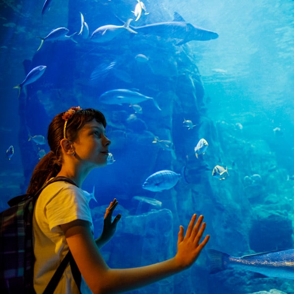 SeaWorld, San Antonio