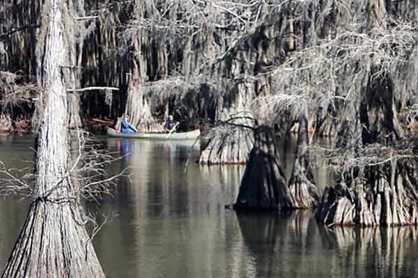Caddo Lake
