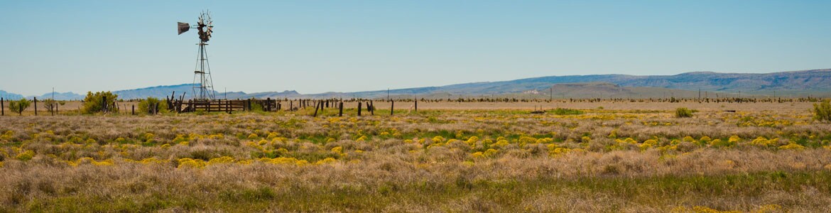 Paririe with windmill