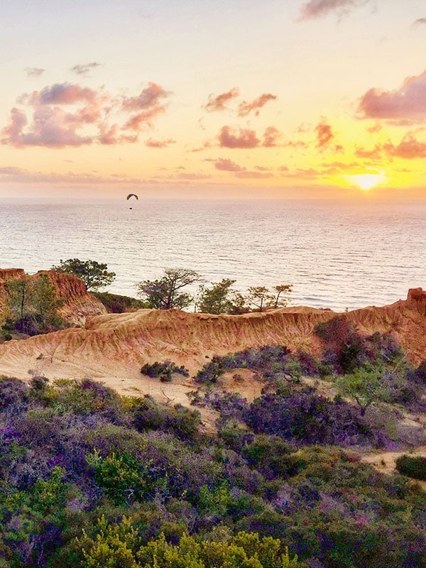 Torrey Pines State. Reserve, San Diego, CA