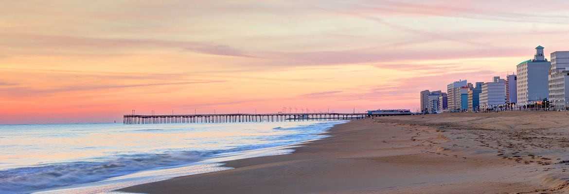 Desert Cacti at Sunset in Phoenix, AZ
