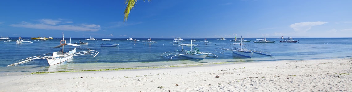 A beach overlooking a bay filled with boats.