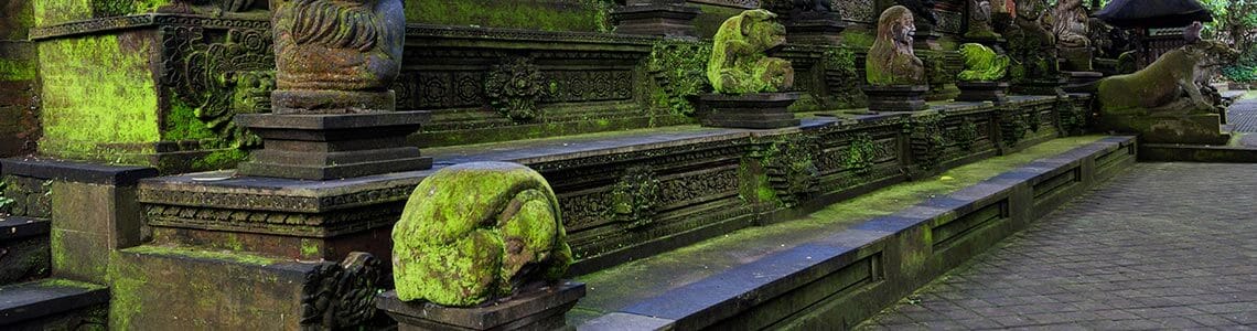 Sacred Monkey forest in Bali