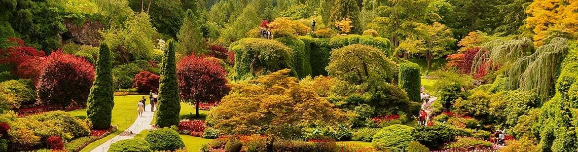 Garden near Victoria BC