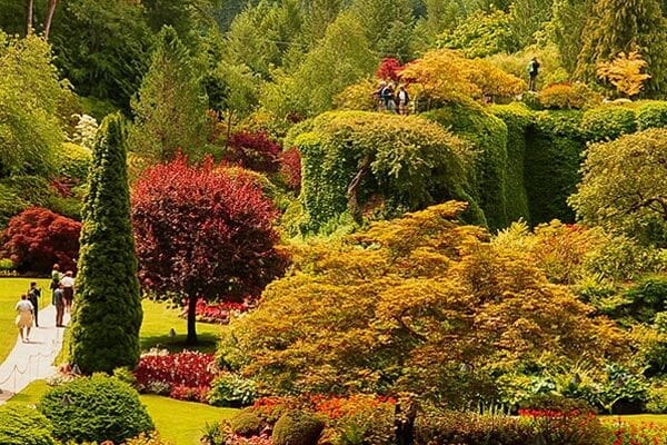 Garden in Vancouver, BC