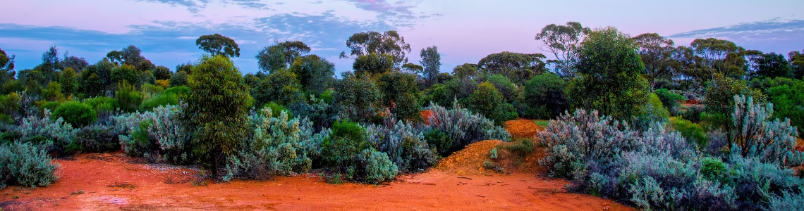 colorful desert landscape
