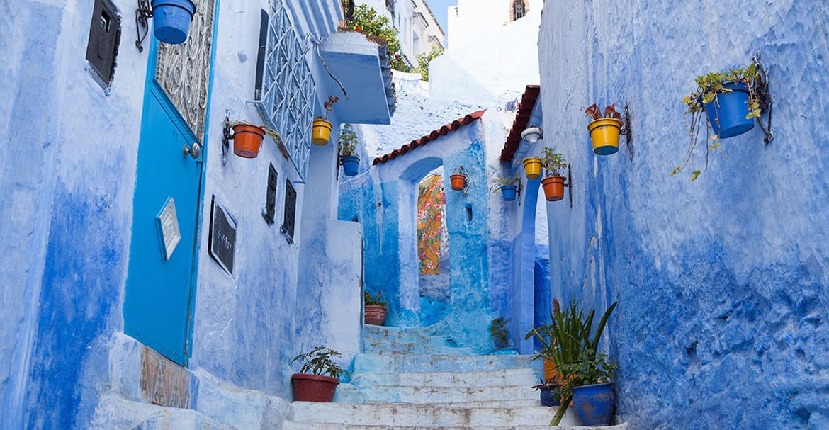Colorful pots and plants line blue stairway