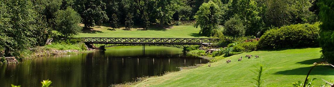 Bellingrath Gardens in Alabama