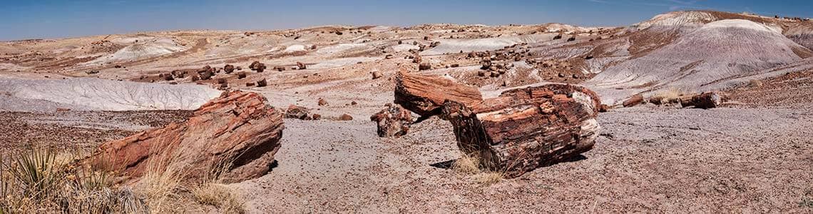 Petrified Forest National Park