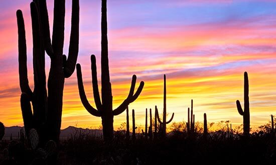 best western tucson and