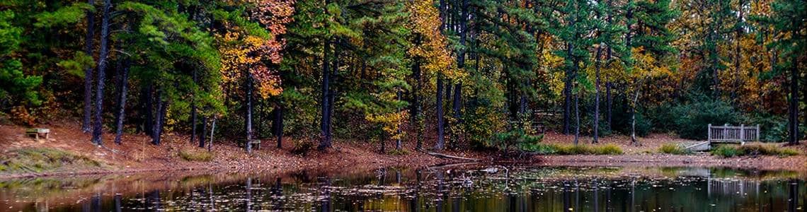 Hiking Trail in Arkansas
