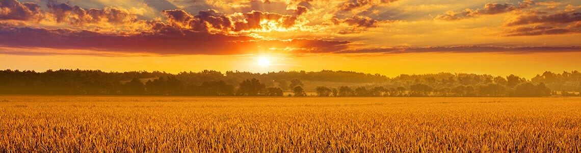 Crowley's Ridge Park in Arkansas