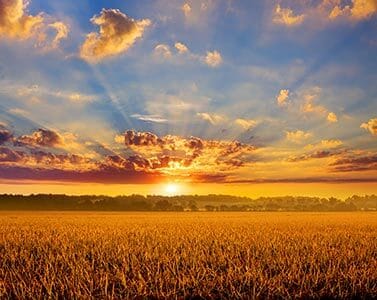 Crowleys Ridge in Arkansas