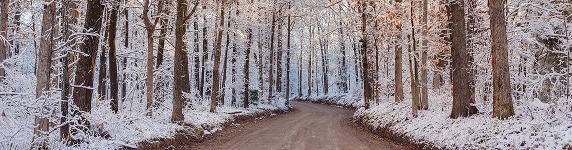 Winter trail in Arkansas