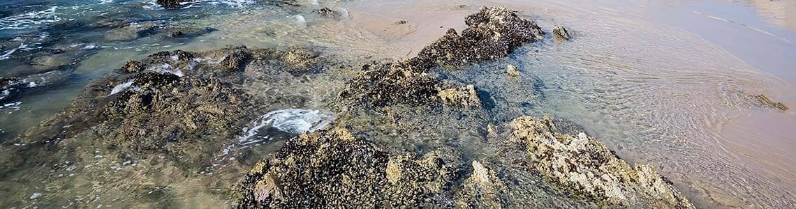 Rocks on a beach in Southern California