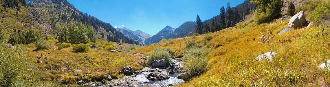 Sierra National Forest in northern California