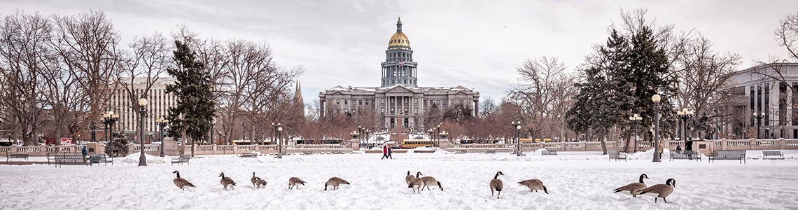Civic Center Park and Colorado State Capitol, Denver 