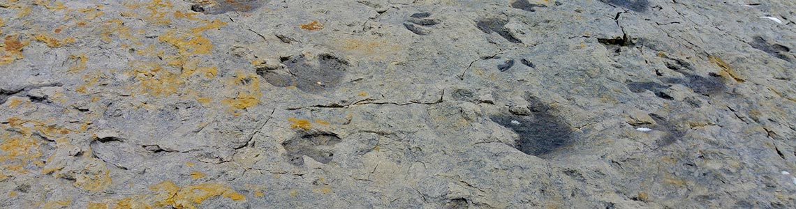 Dinosaur Ridge, Colorado
