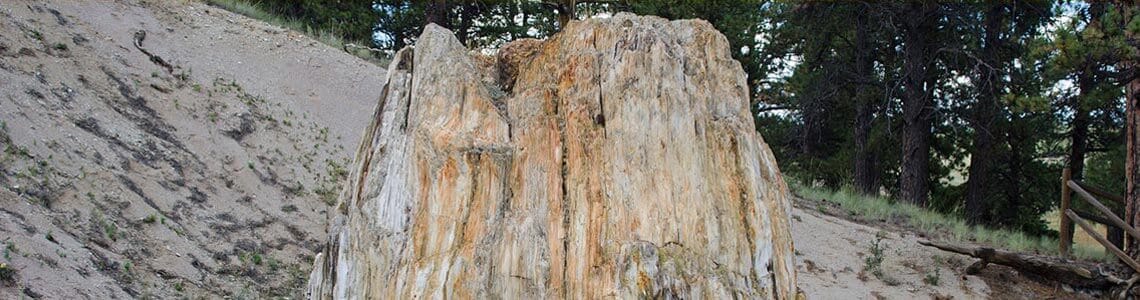 Florissant Fossil Beds National Monument