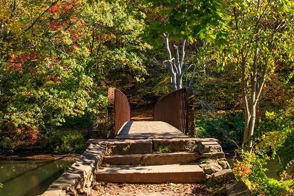 Foot Bridge in Connecticut park