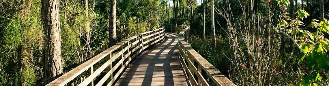 Boardwalk trail in Corkscrew Swamp Sanctuary, FL