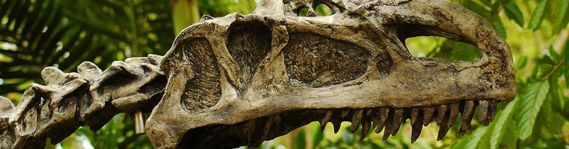 Dinosaur skeleton in Florida