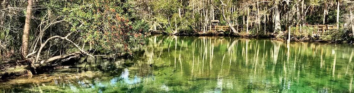 Beautiful Homosassa Springs in Florida