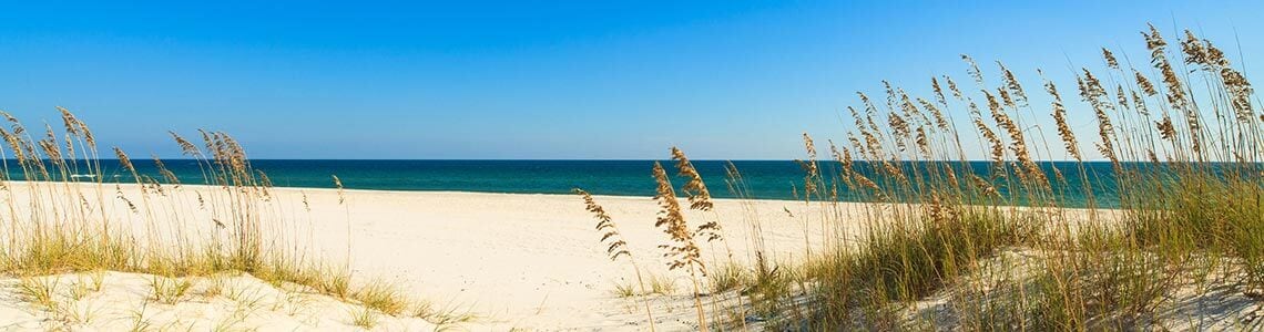 White sand and Sea Oats at Perdido Key, FL