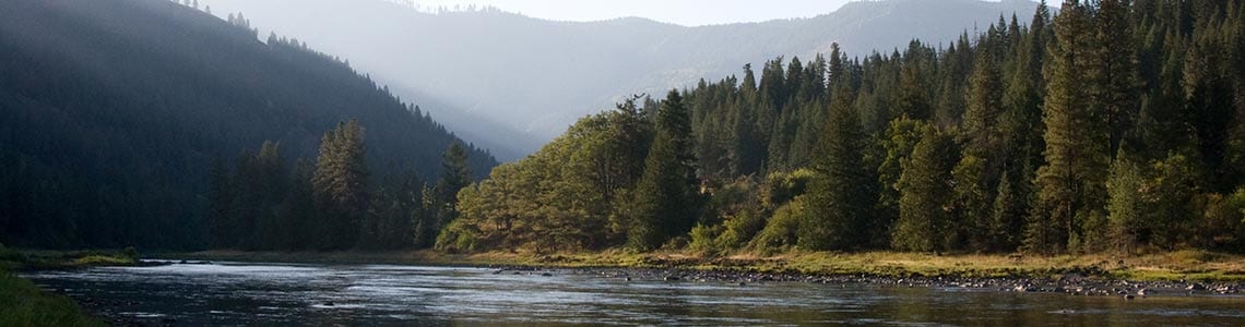 Clearwater National Forest