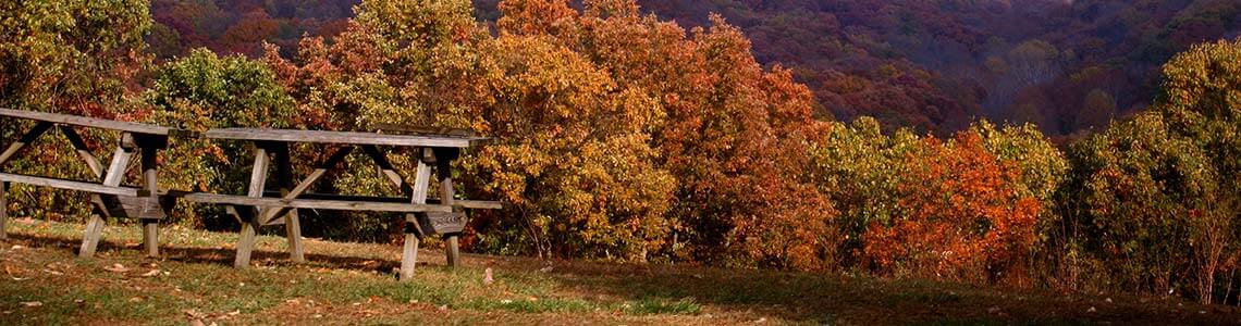 Brown County State Park in Indiana