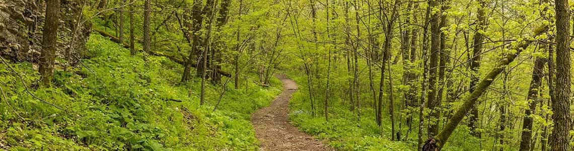 Iowa Hiking Trail