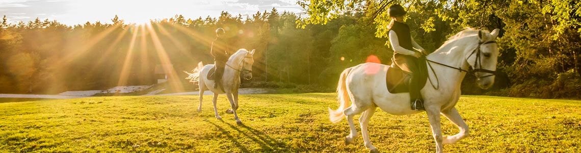 Women on a horse trail ride in Kentucky