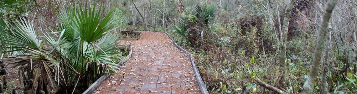 Jean-Lafitte National Park