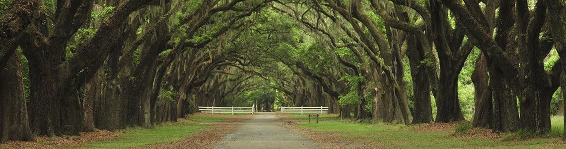 Cane River National Heritage Trail in Louisiana