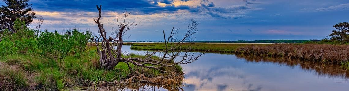 Assateague Island National Seashore in Maryland