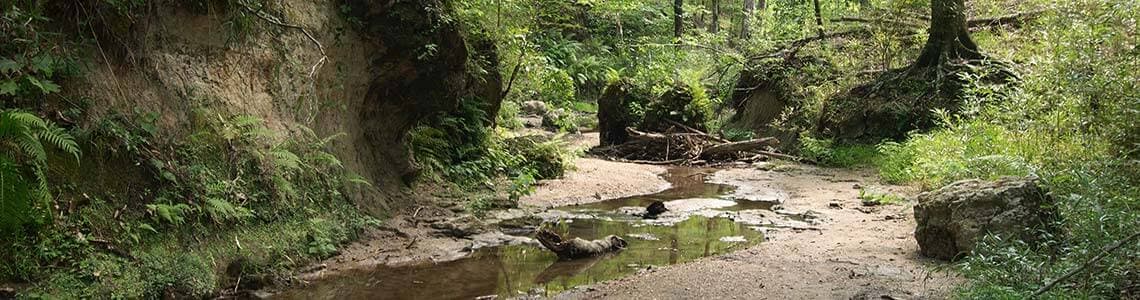 Clark Creek State Park in Mississippi