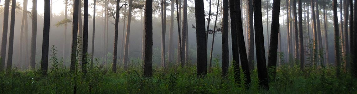 National Parks in Mississippi