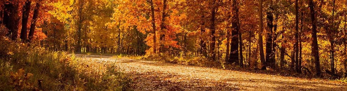Hiking Trails in Eastern Missouri