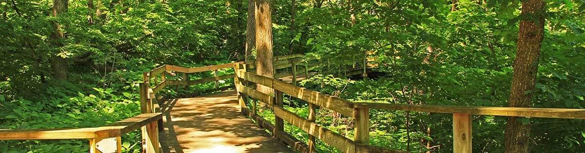 Fontenelle Forest in Nebraska